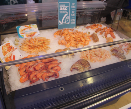 Cold Seafood Display